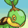 Tortipouss
